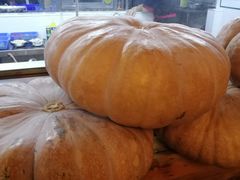 -顺德了能馆(虎门店)