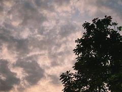 -DGE季风钓虾营地·团建·聚会