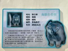 -青藏高原野生动物园