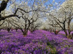 -江苏三台山国家森林公园