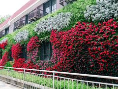 -岳阳道小学(大理道校区)