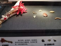 -湖州博物馆