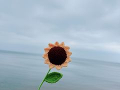 -威海国际海水浴场旅游区