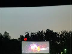 -枫花园汽车电影院(朝阳公园店)