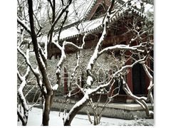 -碑林公园