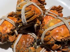 -杨氏青龙虾·羊蝎子(金盛路总店)