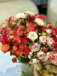 点击看大图 -WENDY·温迪皮肤管理