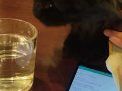 -一盃山水咖啡茶馆