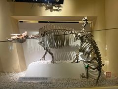 -国家自然博物馆