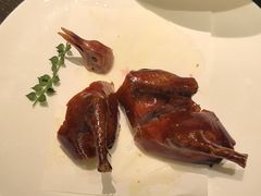 -甄御•海鲜新青岛菜(麦岛店)