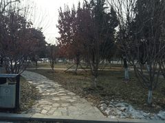 -东北大学(南湖校区)