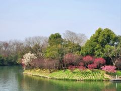 -西溪国家湿地公园