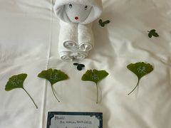 -杭州千岛湖开元度假村