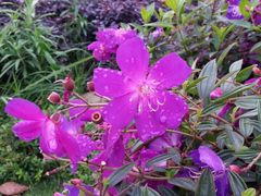 iphone_upload_pic-江滨公园