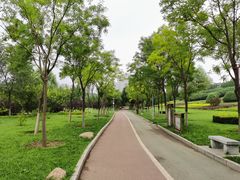 -滨河世纪广场公园