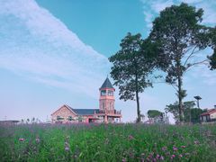 -花博汇(知音花月夜)