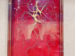 -南京中医药大学(仙林校区)