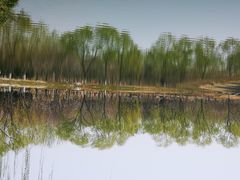 -大兴滨河森林公园