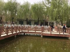 -丰台科技园生态主题公园