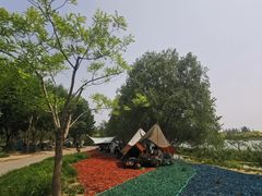 -东郊湿地公园