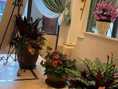-沙龙酒家