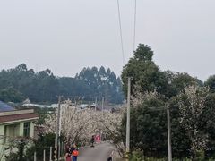 -樱桃山旅游景区