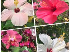 -南通洲际绿博园