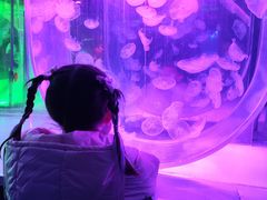 -常州海昌海洋探索馆