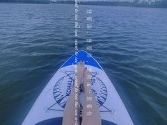 -春花秋色城市公园