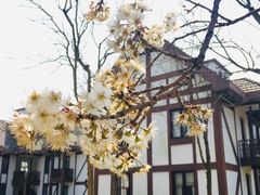 -太阳岛度假酒店