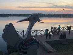 -丁香湖公园