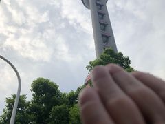 -BUS TOUR观光巴士