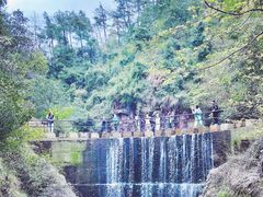 -大奇山国家森林公园