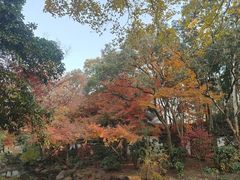 -秋霞圃