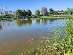 -西海子公园