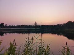 -东郊湿地公园