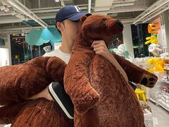 -宜家·瑞典风味餐厅(北京西红门店)