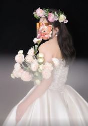 -青禾蒙娜丽莎婚纱摄影(武汉总店)
