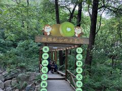 -大岭沟猕猴桃谷风景区