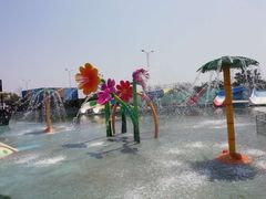 -秦皇岛乐岛海洋王国