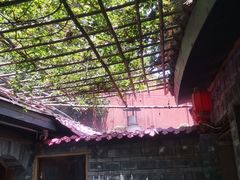 -香叶草中餐厅(川白楼店)