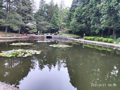 -庐山风景区花径公园