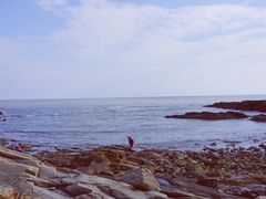 -前王院•巧克力海鲜市集餐厅(万平口店)