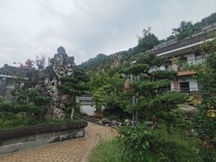 -老幺泉水鸡