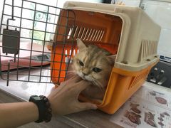 -荔康动物医院(康王北路店)