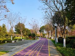 -尚贤河湿地