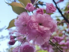 -泉城广场