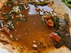 -生态苑农庄(十里画廊遇龙河店)