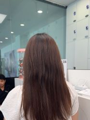 -YESIDO椰岛造型