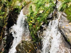 -藏龙百瀑风景区